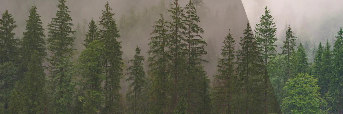 Heirloom Quality, Naturally Sourced